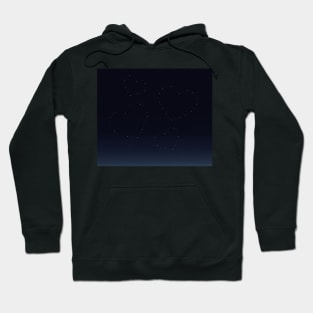 Love is in the Stars Hoodie